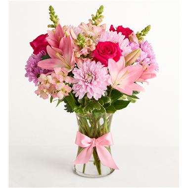 Mother&rsquo;S Embrace&trade; Clear Version